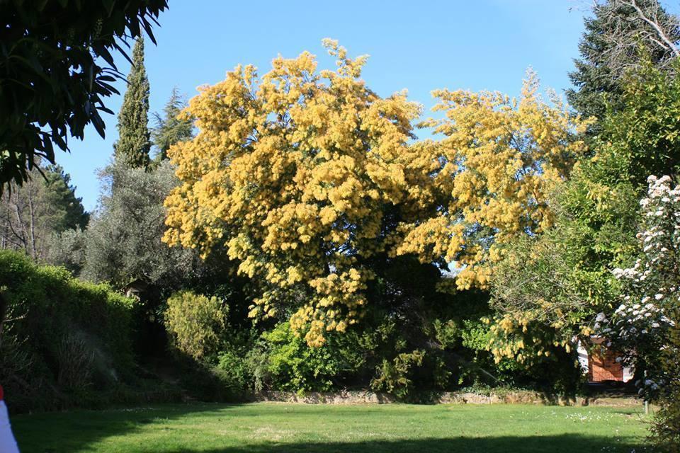 Rancho La Herradura Arenas de San Pedro Habitación foto